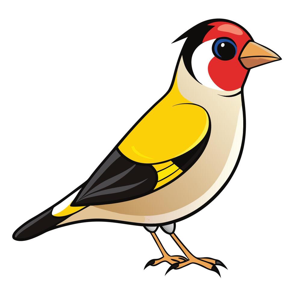 Goldfinch bird illustration vector