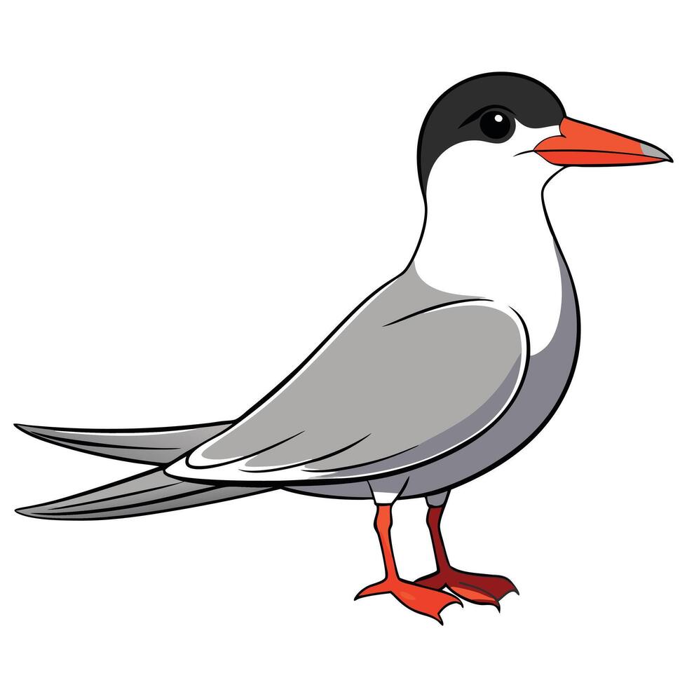 A cartoon bird with a red beak and black feet vector