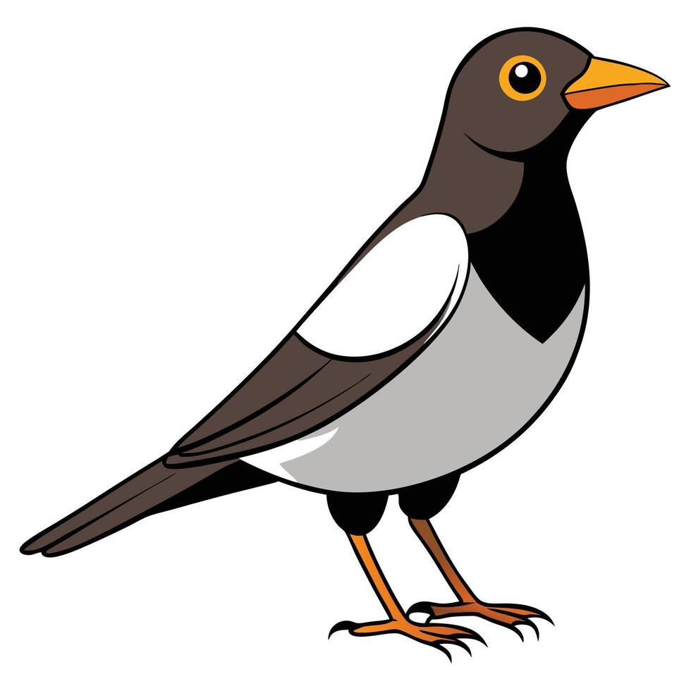 A cartoon bird with black and white feathers vector
