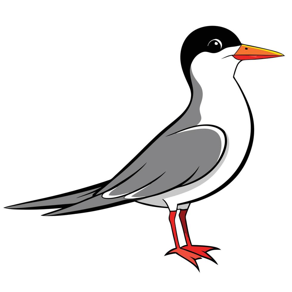 A cartoon bird with a black beak and red feet vector