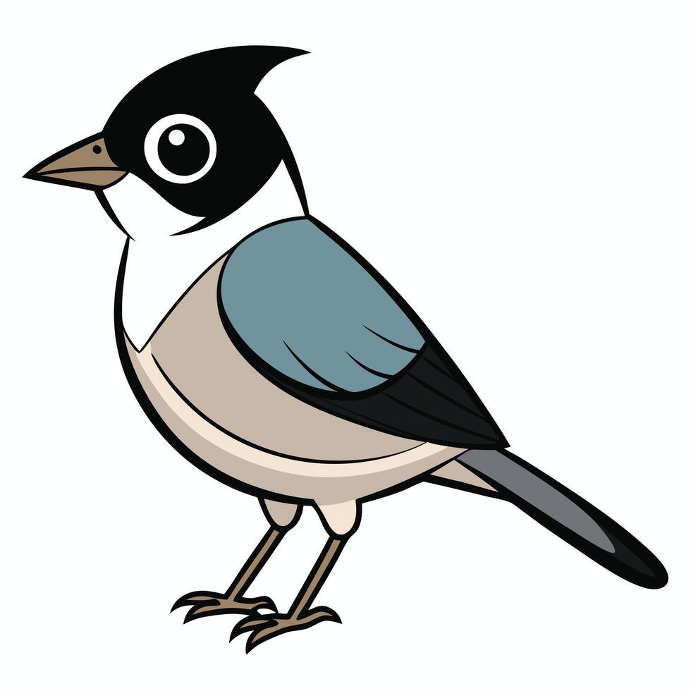 A cartoon bird with black and white feathers vector
