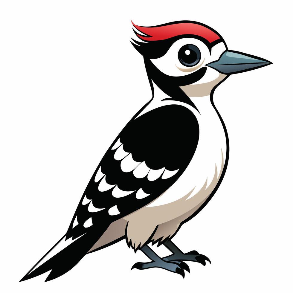 A woodpecker with red and black feathers vector