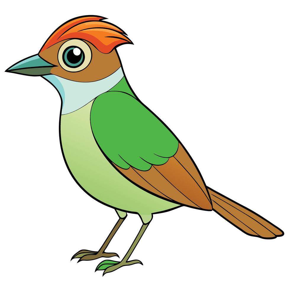 A cartoon bird with orange and green feathers vector