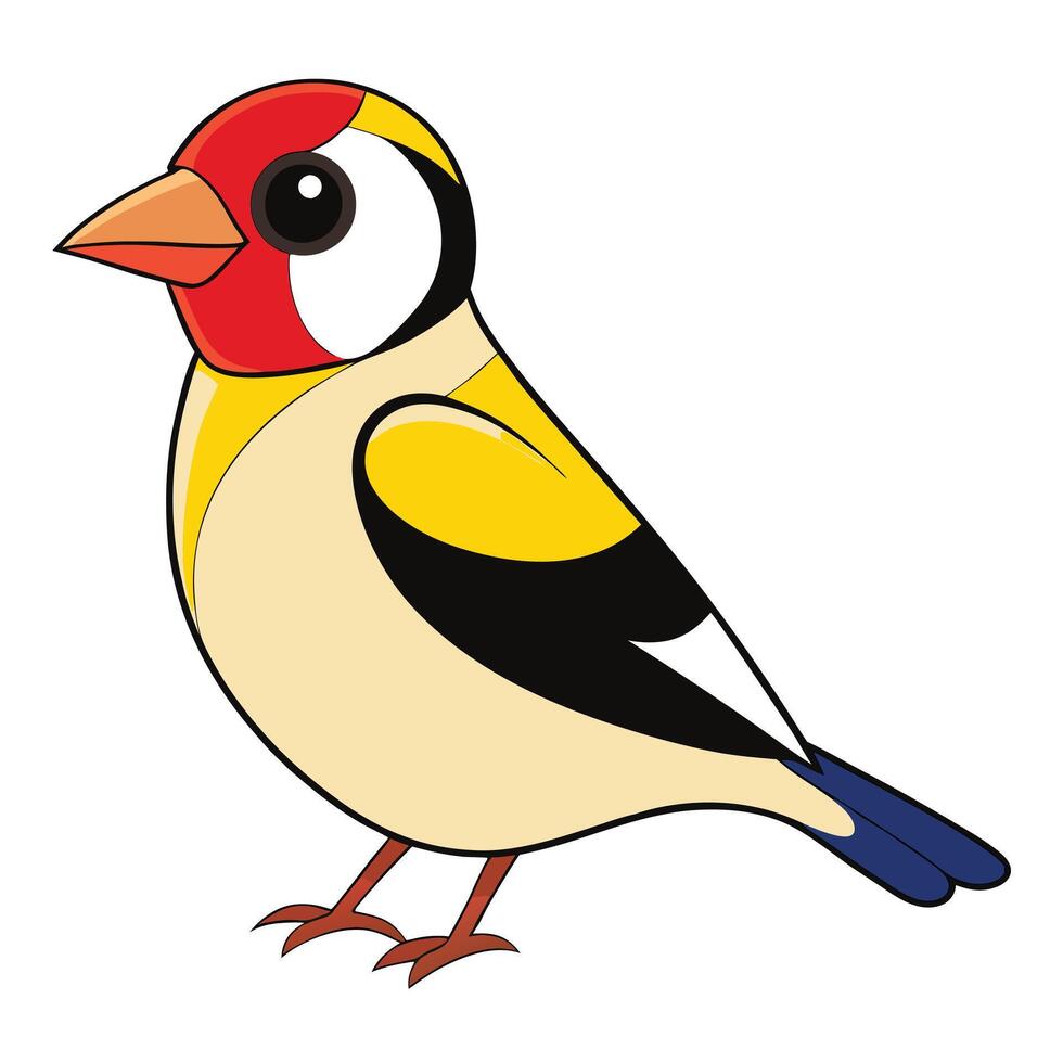 Goldfinch bird illustration illustration vector