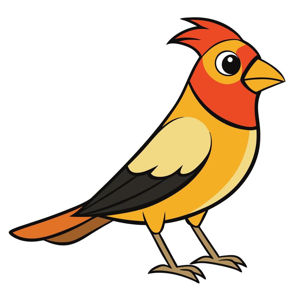 A cartoon bird with red and yellow feathers vector