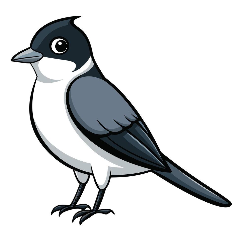 A cartoon bird with black and white feathers vector