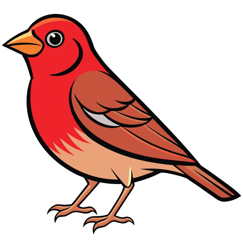 A red bird with a black beak and brown body vector