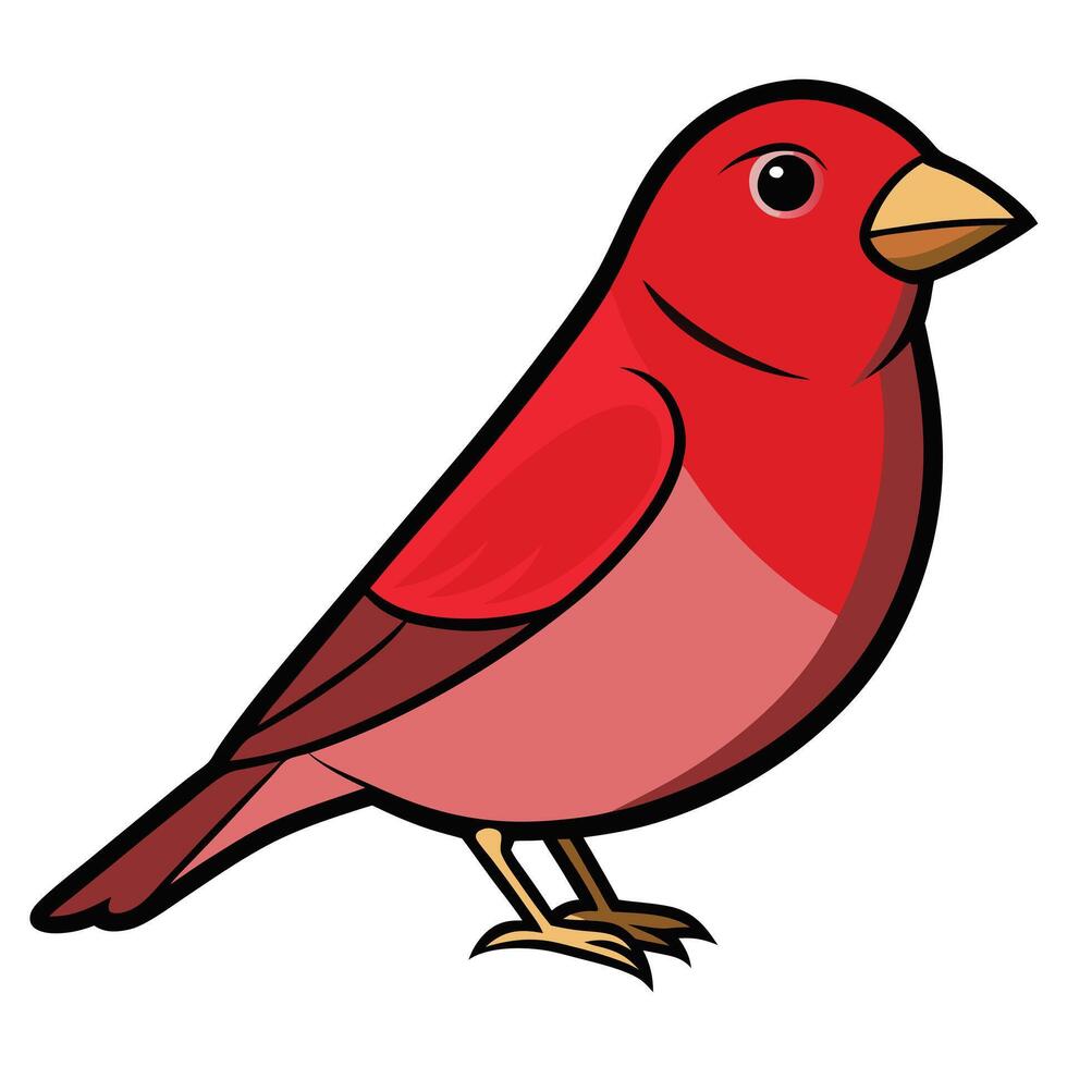 A cartoon red bird with a black beak vector