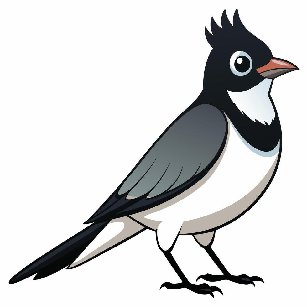A cartoon bird with black and white feathers vector