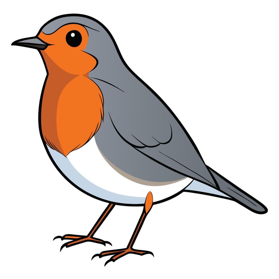 A cartoon robin with orange and gray feathers vector