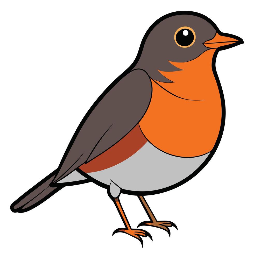 A cartoon bird with orange and gray feathers vector