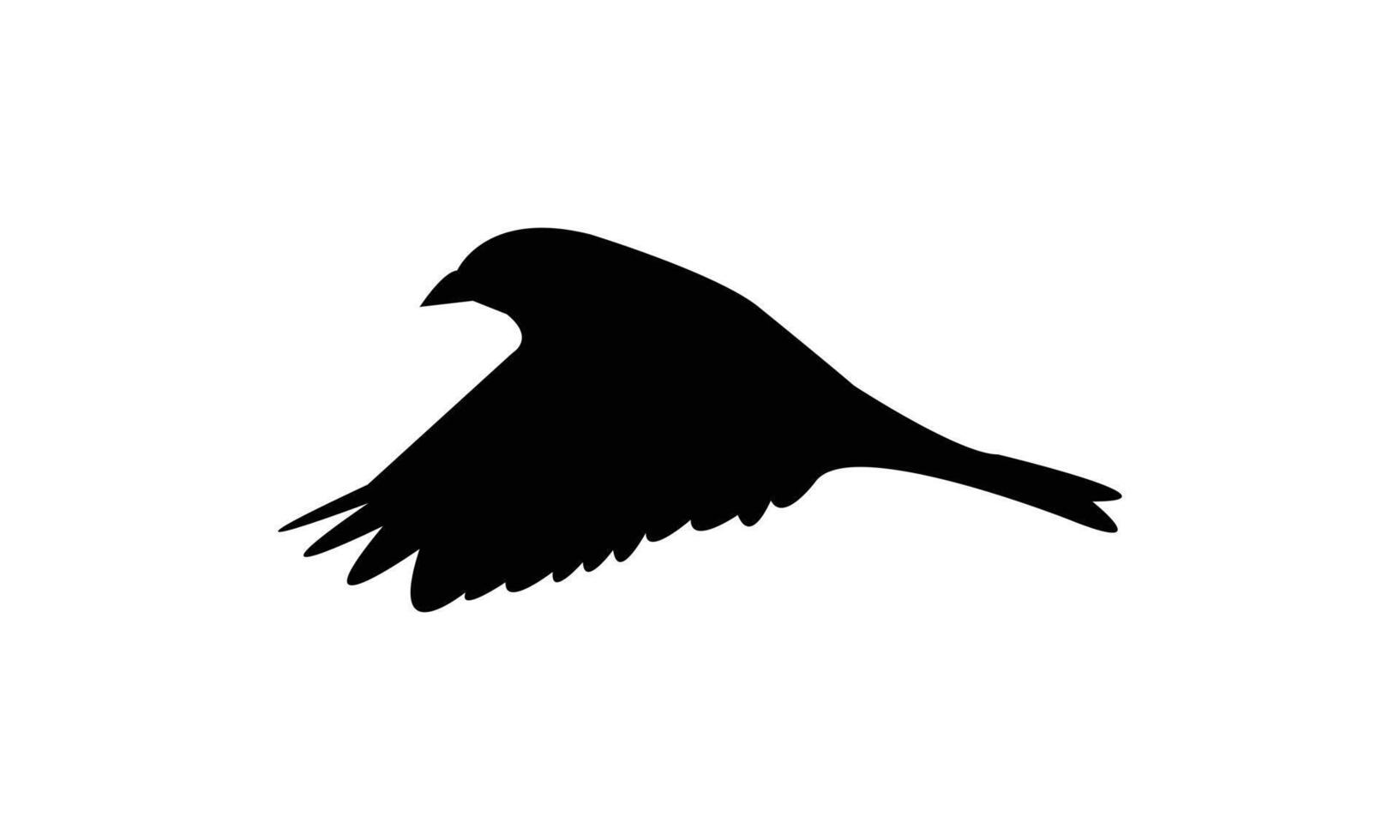 Flying Sparrow Bird Silhouette vector
