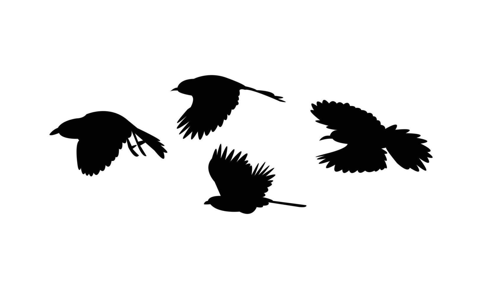 Flying Abbott's babbler Bird Silhouette Collection vector