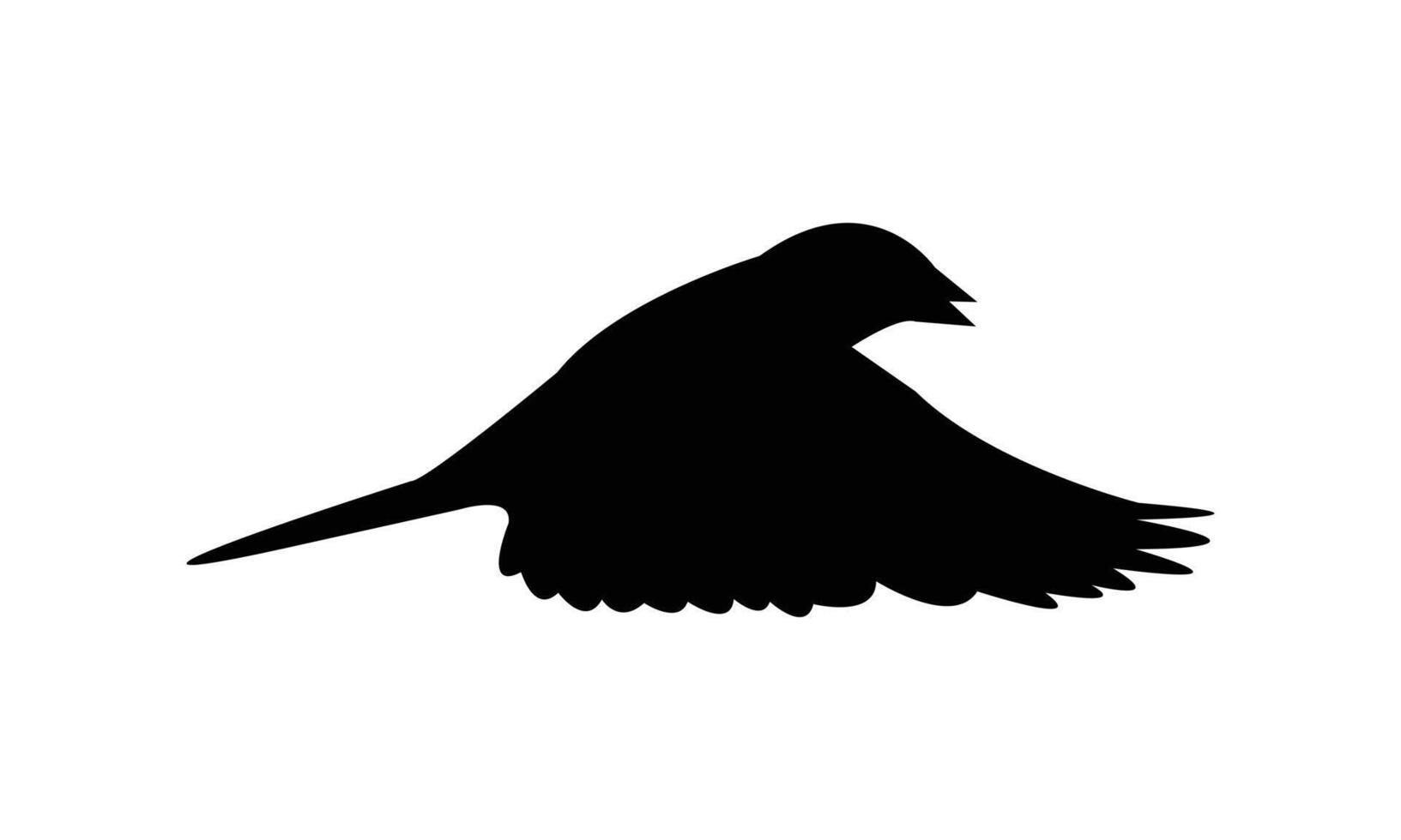 Flying Sparrow Bird Silhouette Design And Illustration. vector