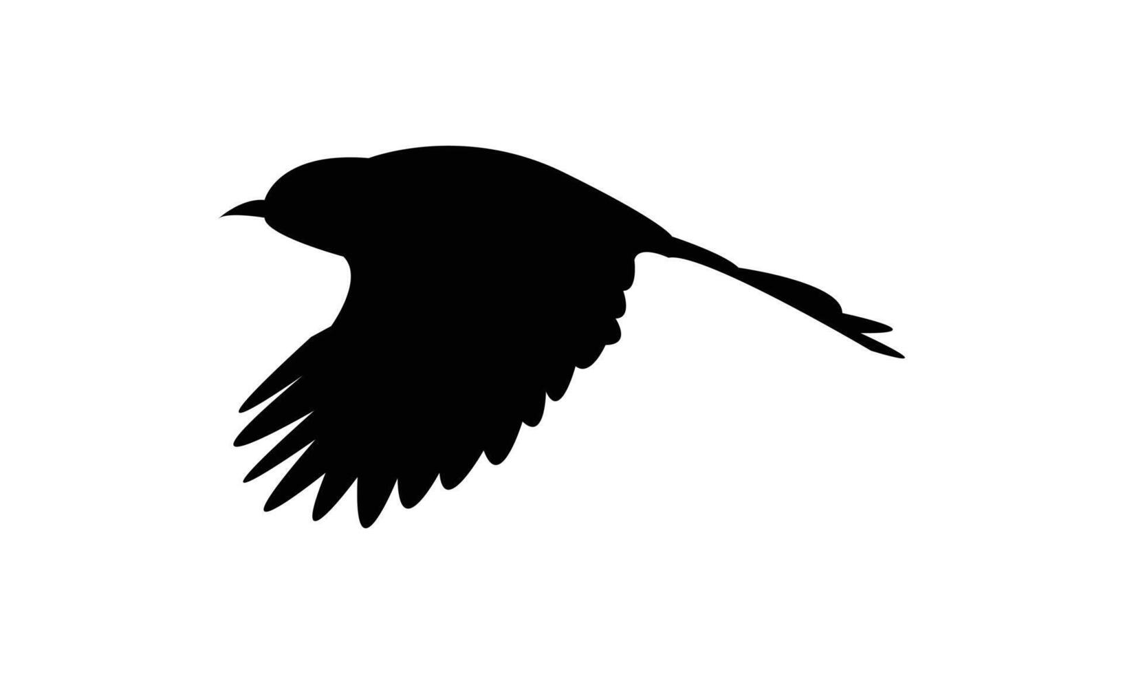 Flying Abbott's babbler Bird Silhouette Design vector