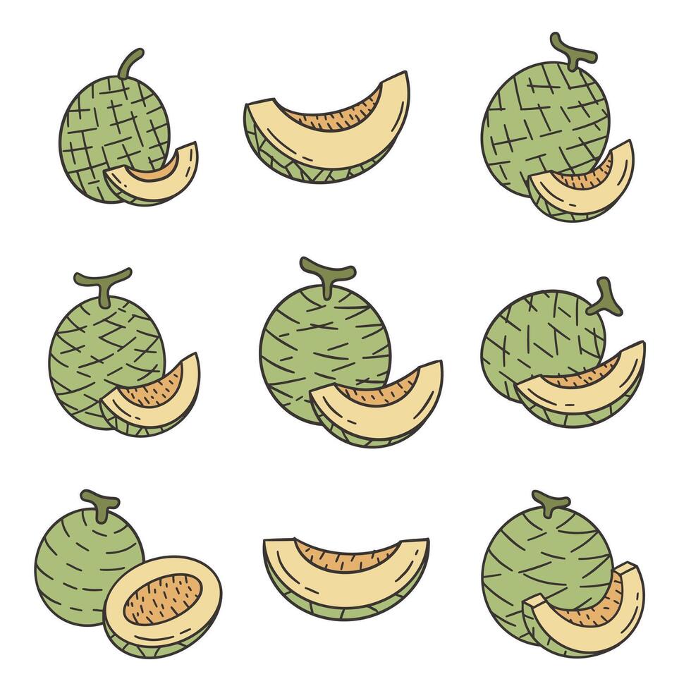 Melon Fruit Doodle Style Illustration vector