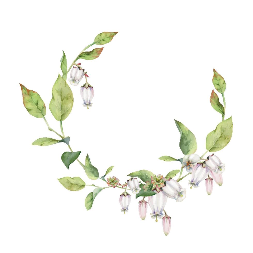 Blueberry white pink bell flower and bud with green leaves on branches, hand drawn in watercolor, wildflower botanical illustration. Isolated wreath frame, for wedding, florist shop, scrapbooking vector
