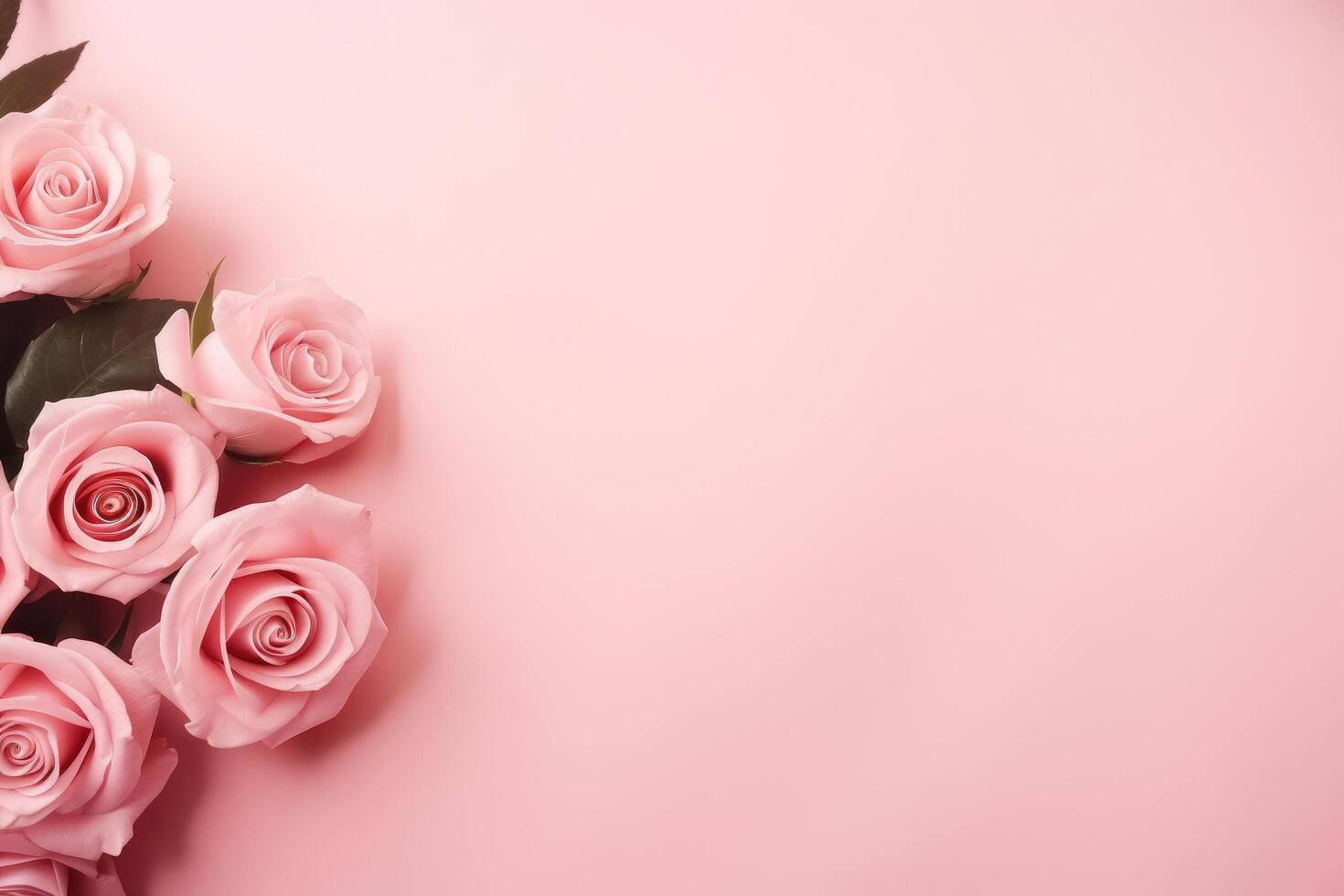 Elegant pink rose bouquet on soft pink background photo
