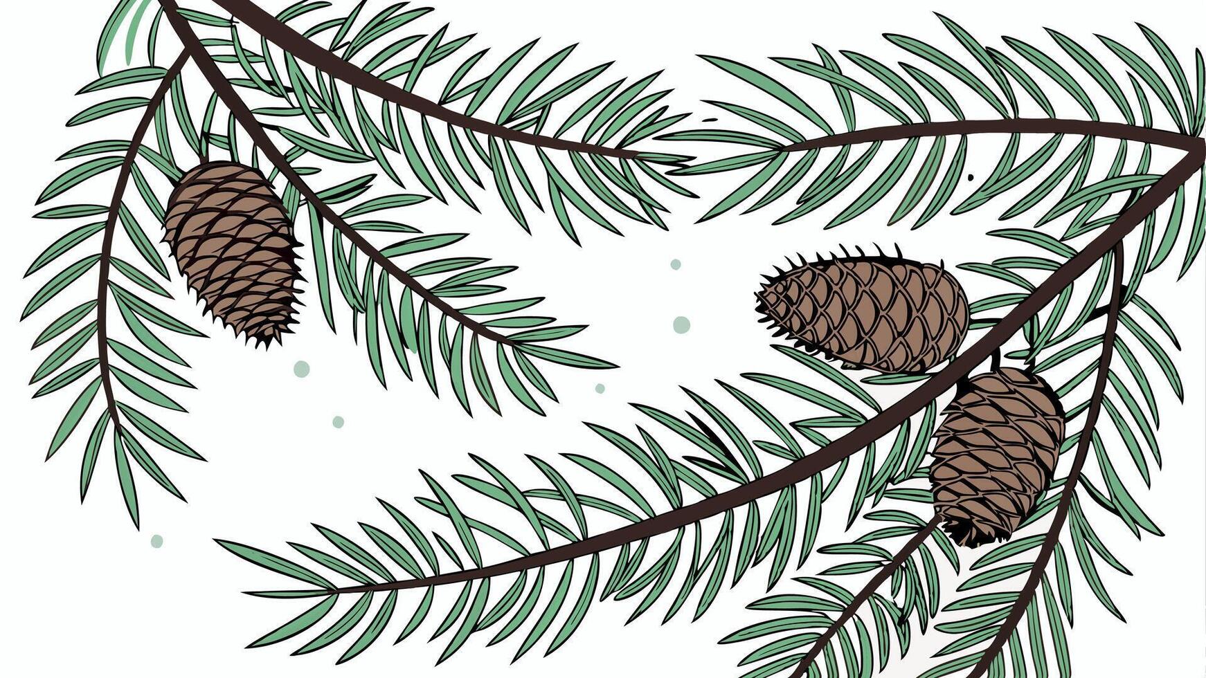 A drawing of a pine tree branch with cones vector