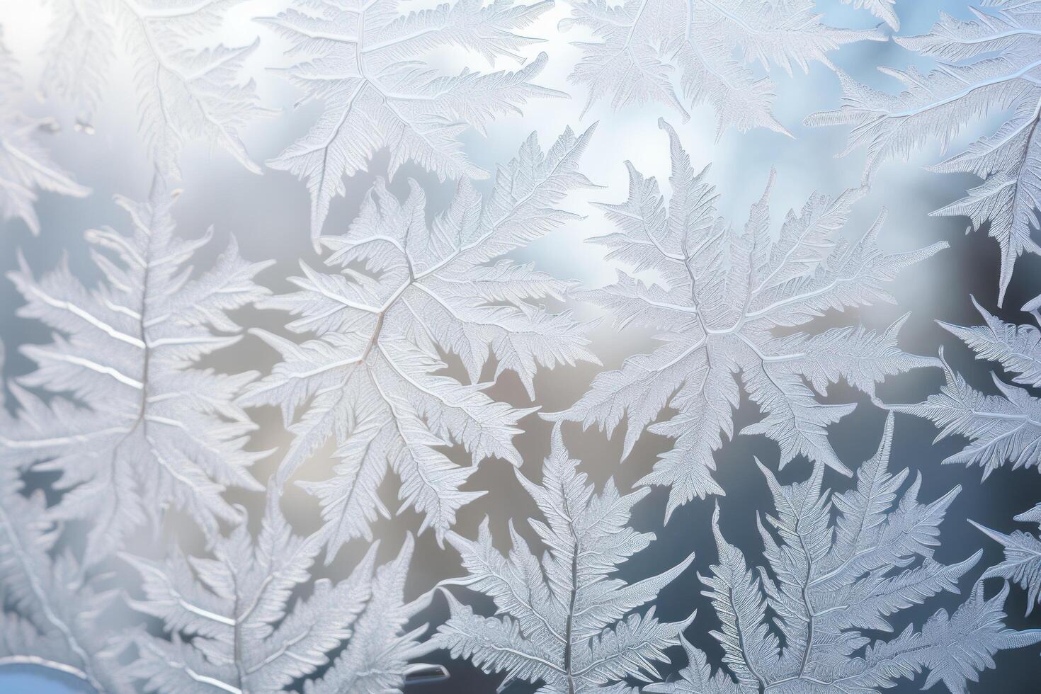 Intricate Frost Patterns on Glass photo