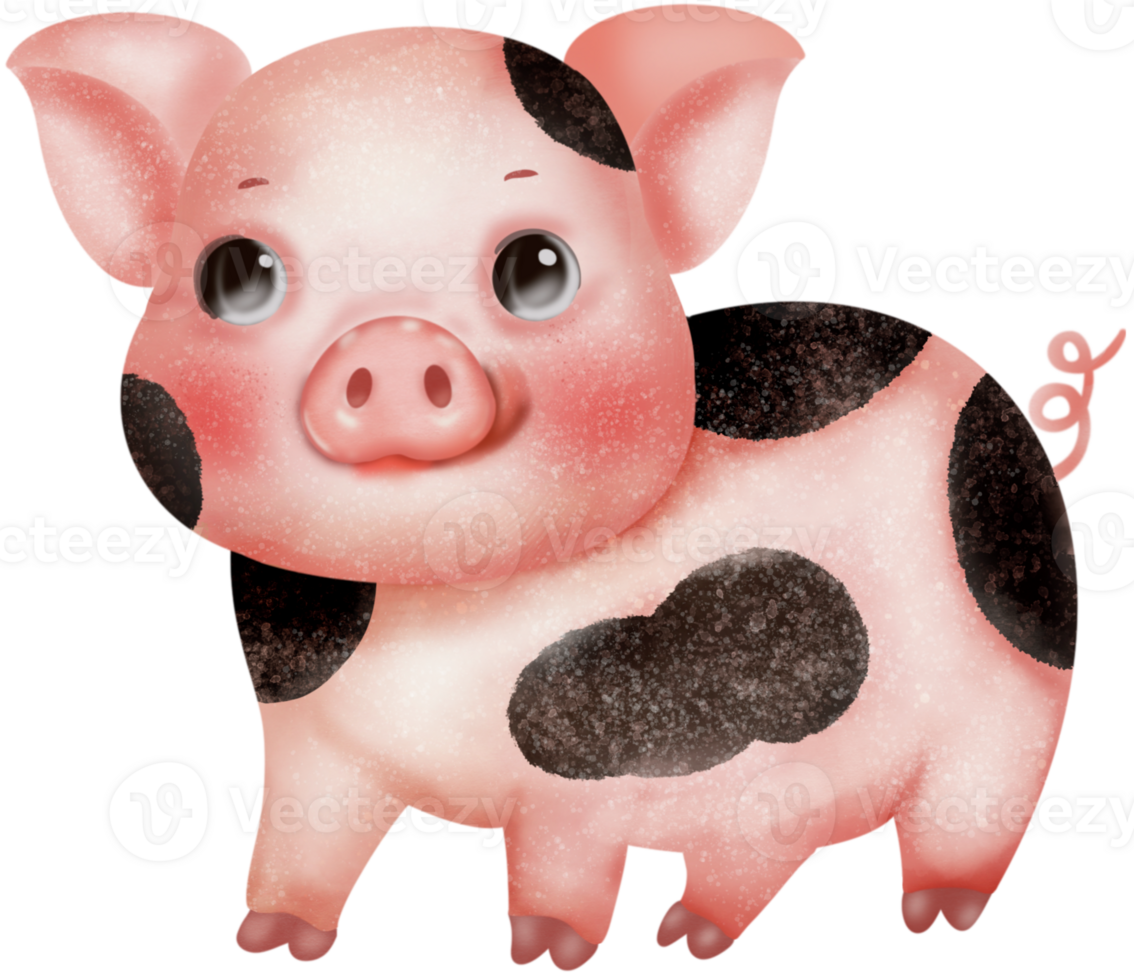 Piggy watercolor drawing png