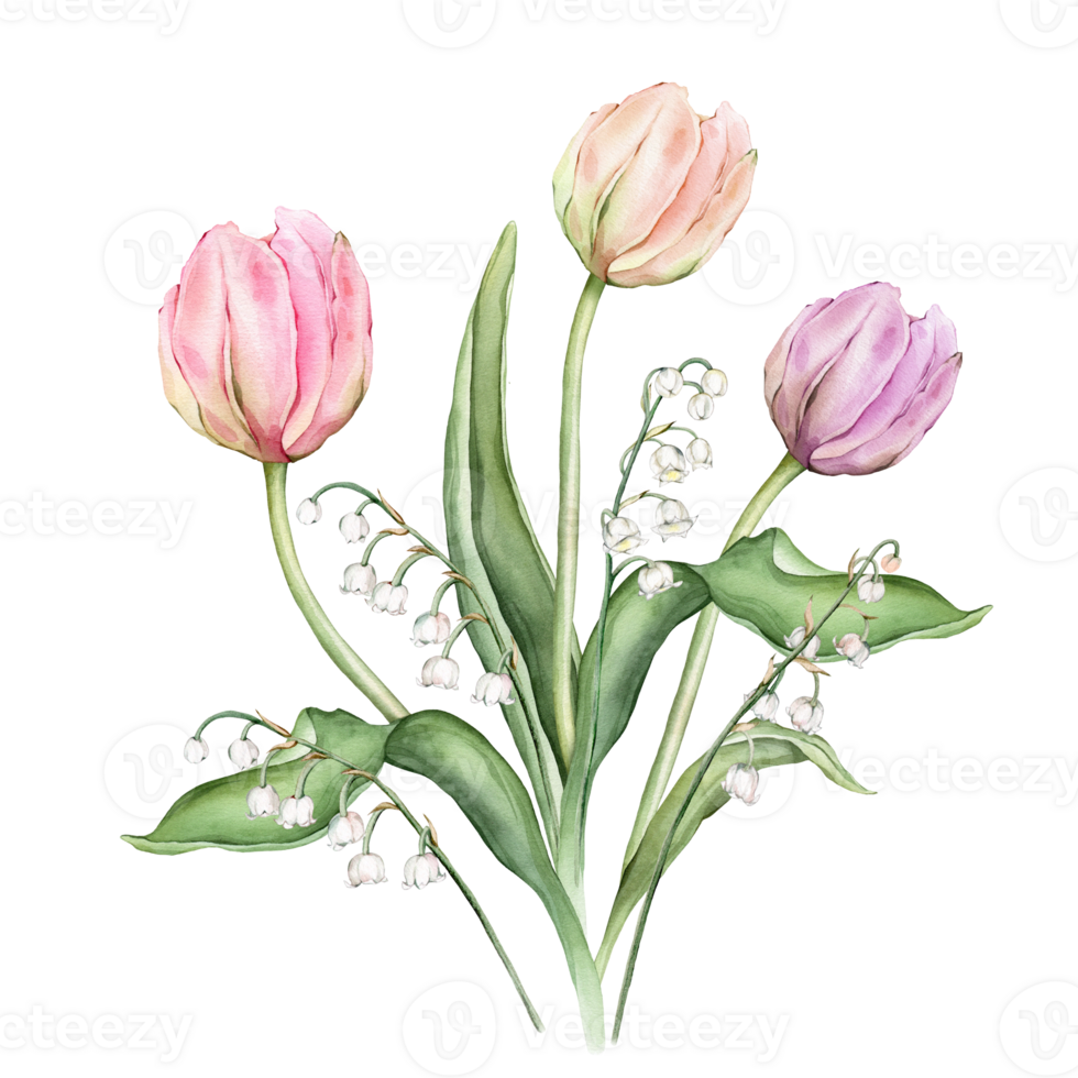 Bouquet of Pastel multi-colored Tulips and tender poured lily of the valley. Watercolor Hand drawn illustration delicate garden composition perennial bulbous flower for spring wedding design or card png