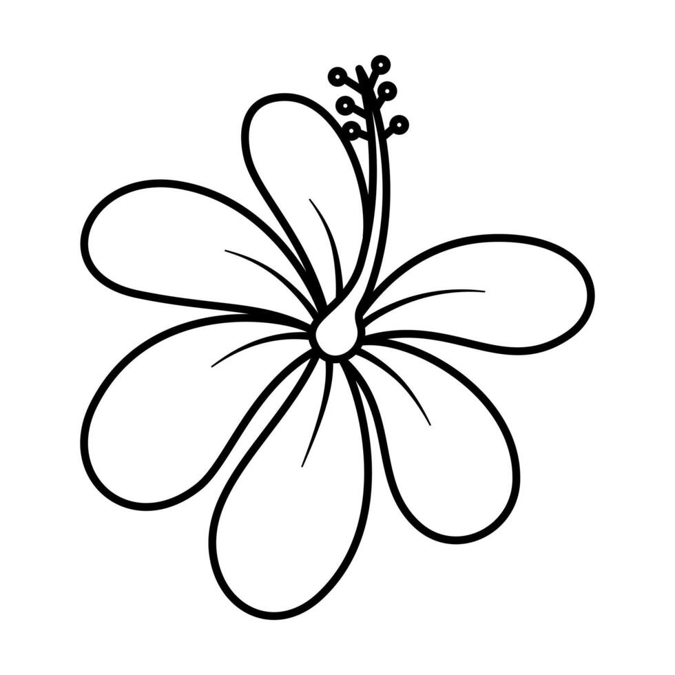 Hibiscus outline illustration by hand drawn. vector