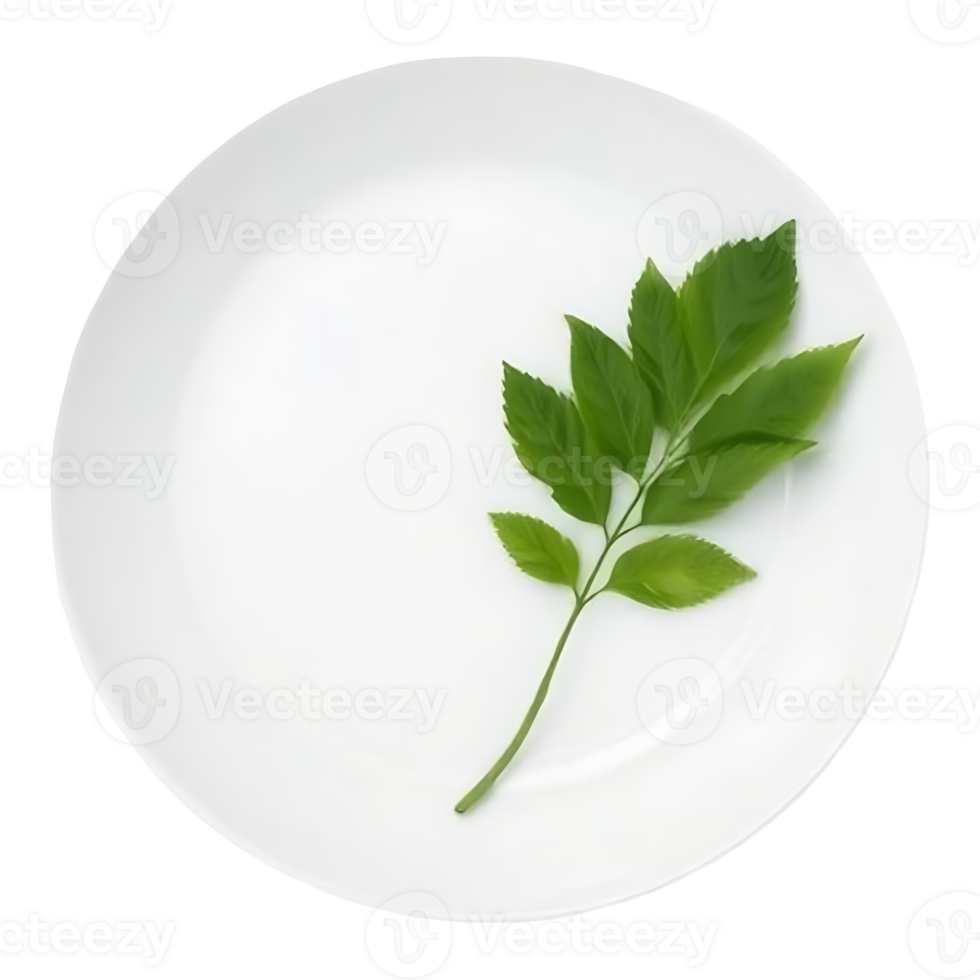 A leaf is on a white plate png