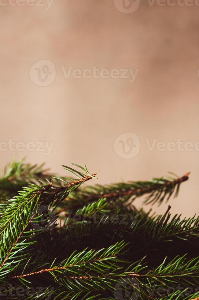 Christmas frame or border with Christmas tree branches on pastel background. Copy space. Winter and New Year background. Vertical photo