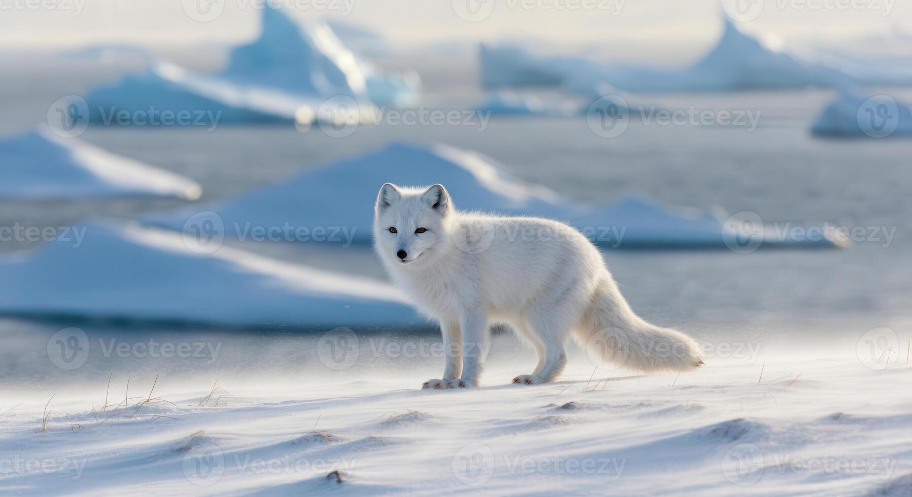 Arctic fox in pristine snowy landscape amidst icebergs in winter photo
