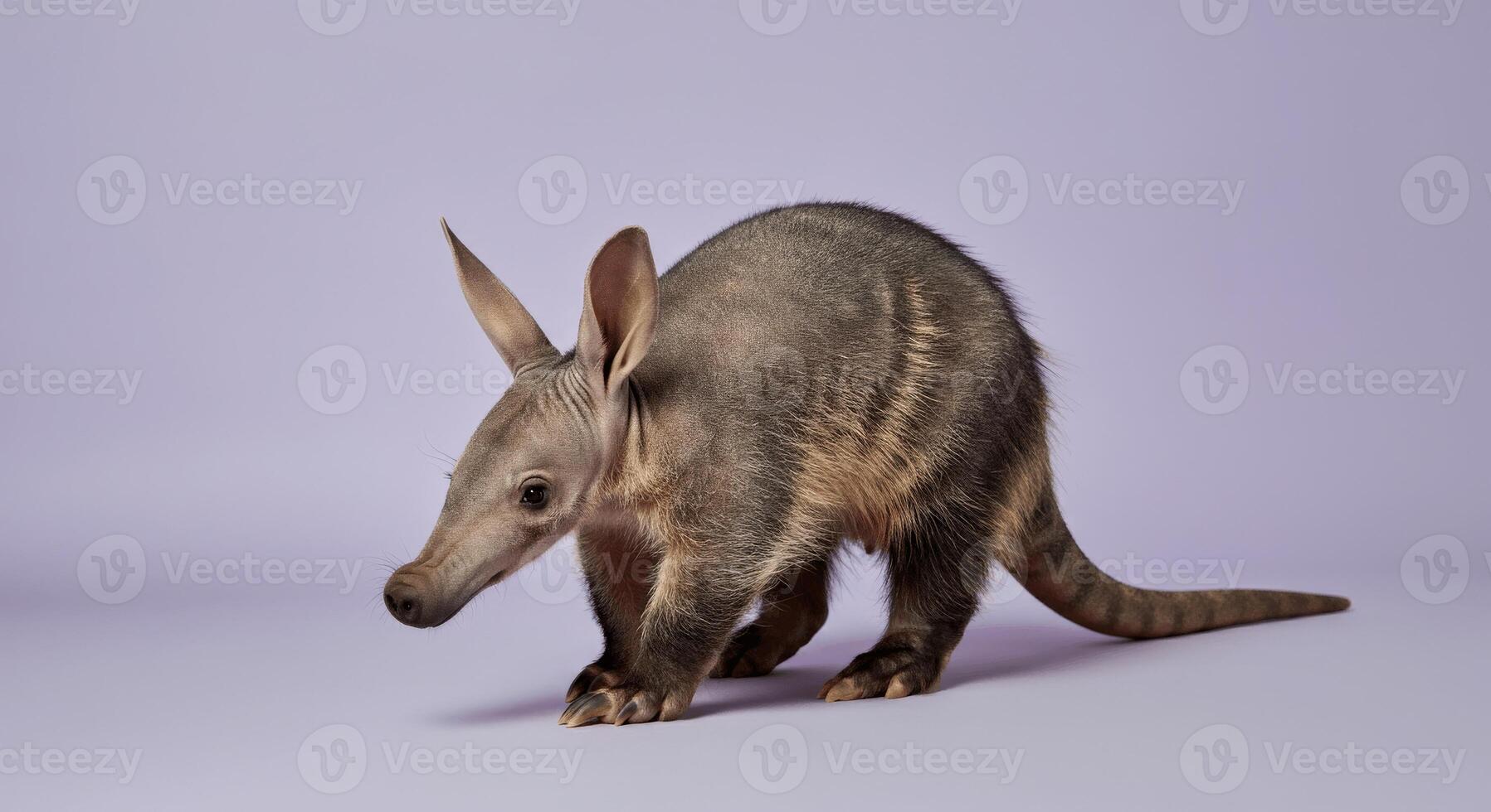 Adorable aardvark on pastel purple background for wildlife conservation awareness photo