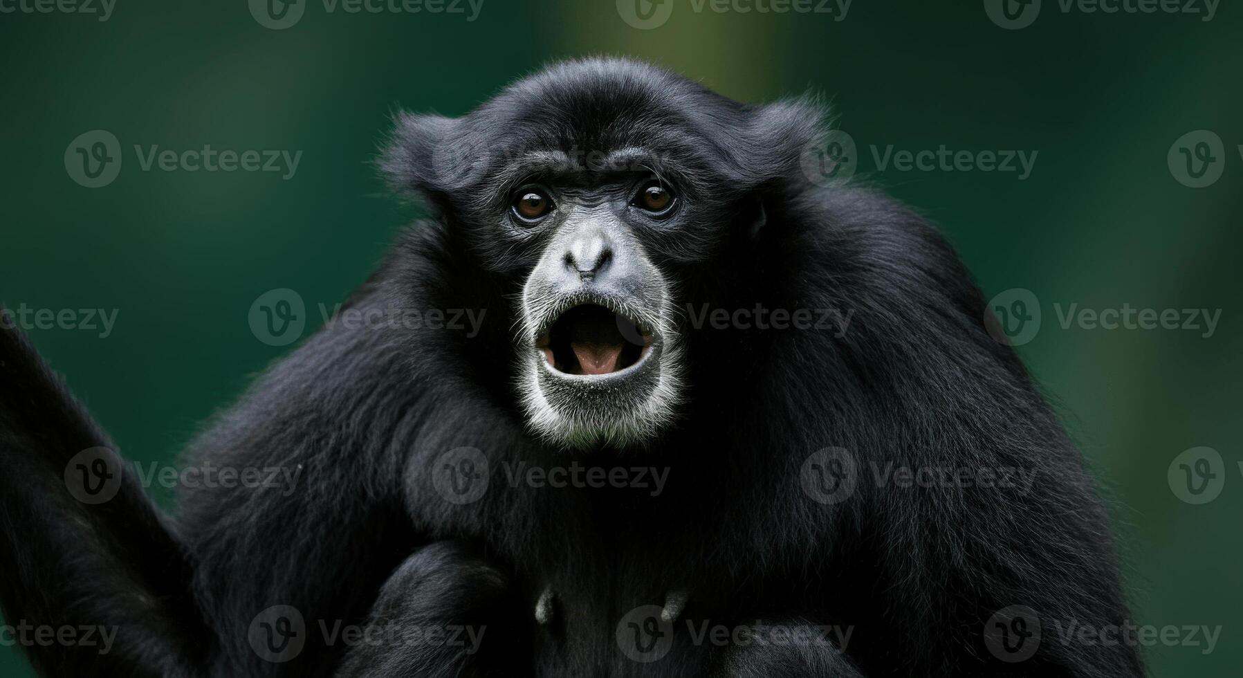 Expressive primate in natural habitat displaying lively behavior photo