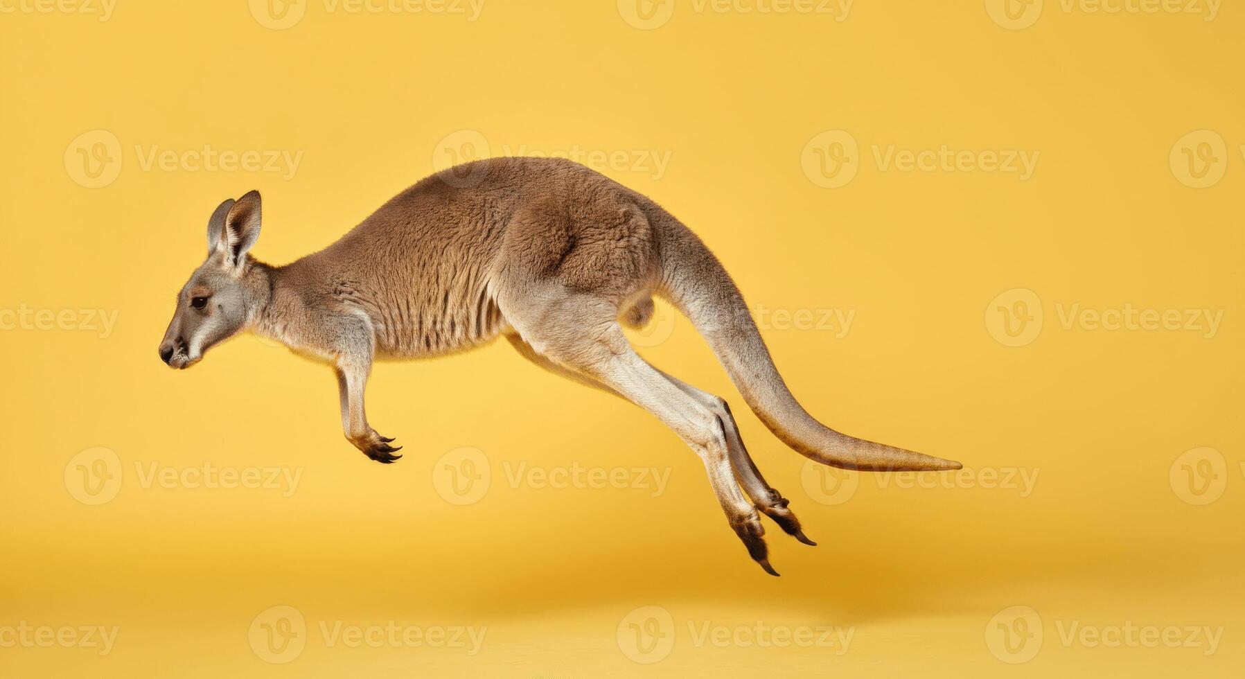 Energetic kangaroo mid-air against vibrant yellow background for wildlife design photo