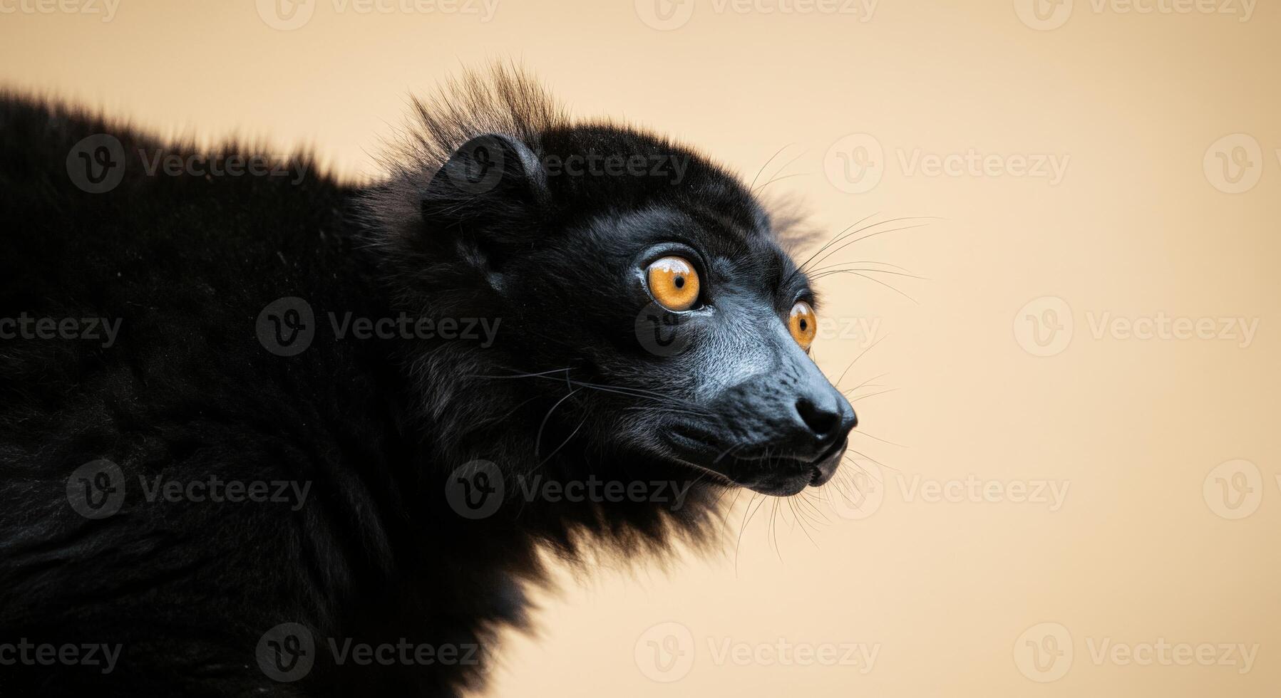 Captivating portrait of a black lemur with intense golden eyes in profile photo