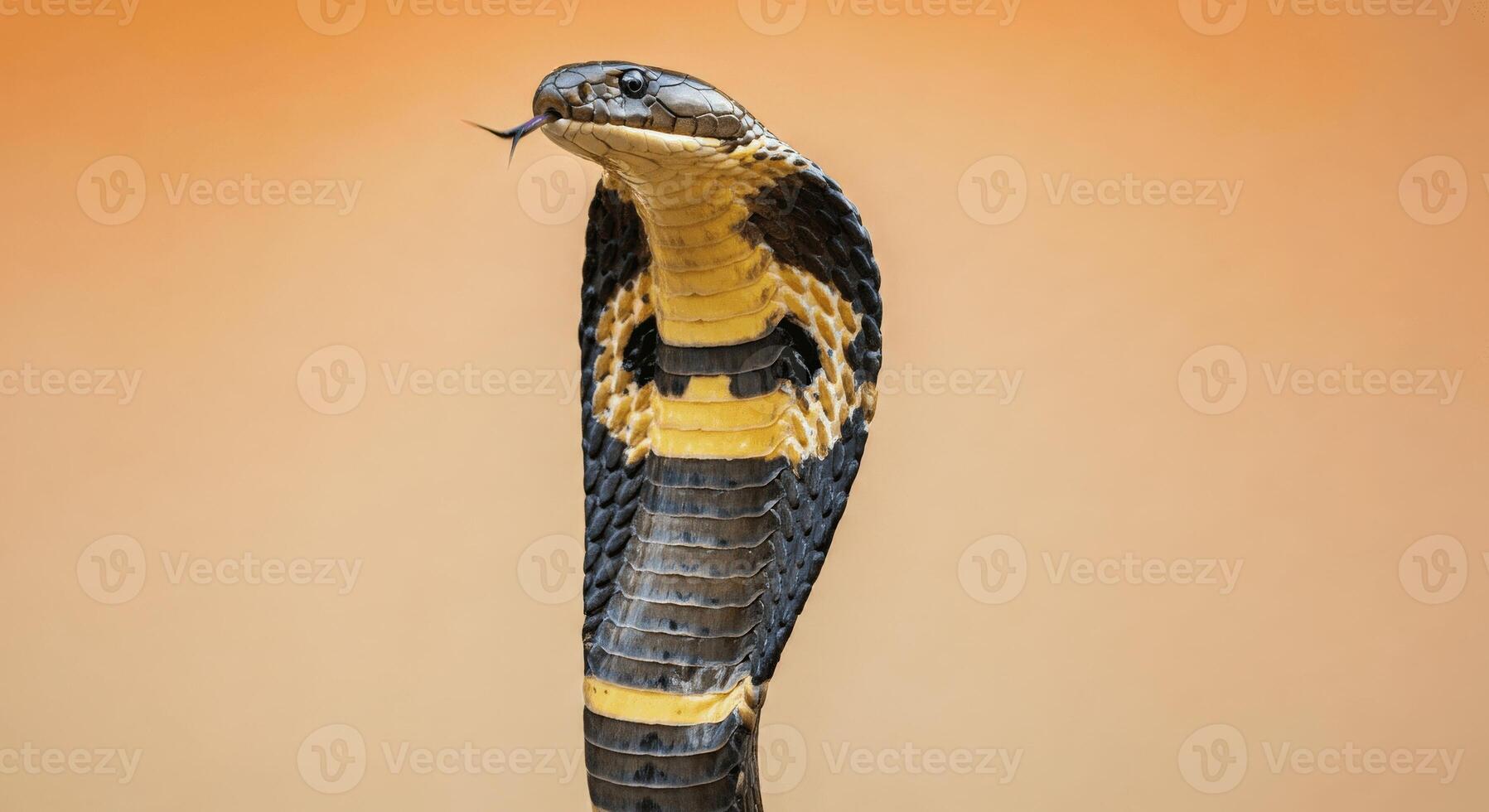 Majestic king cobra against orange backdrop for wildlife awareness design photo