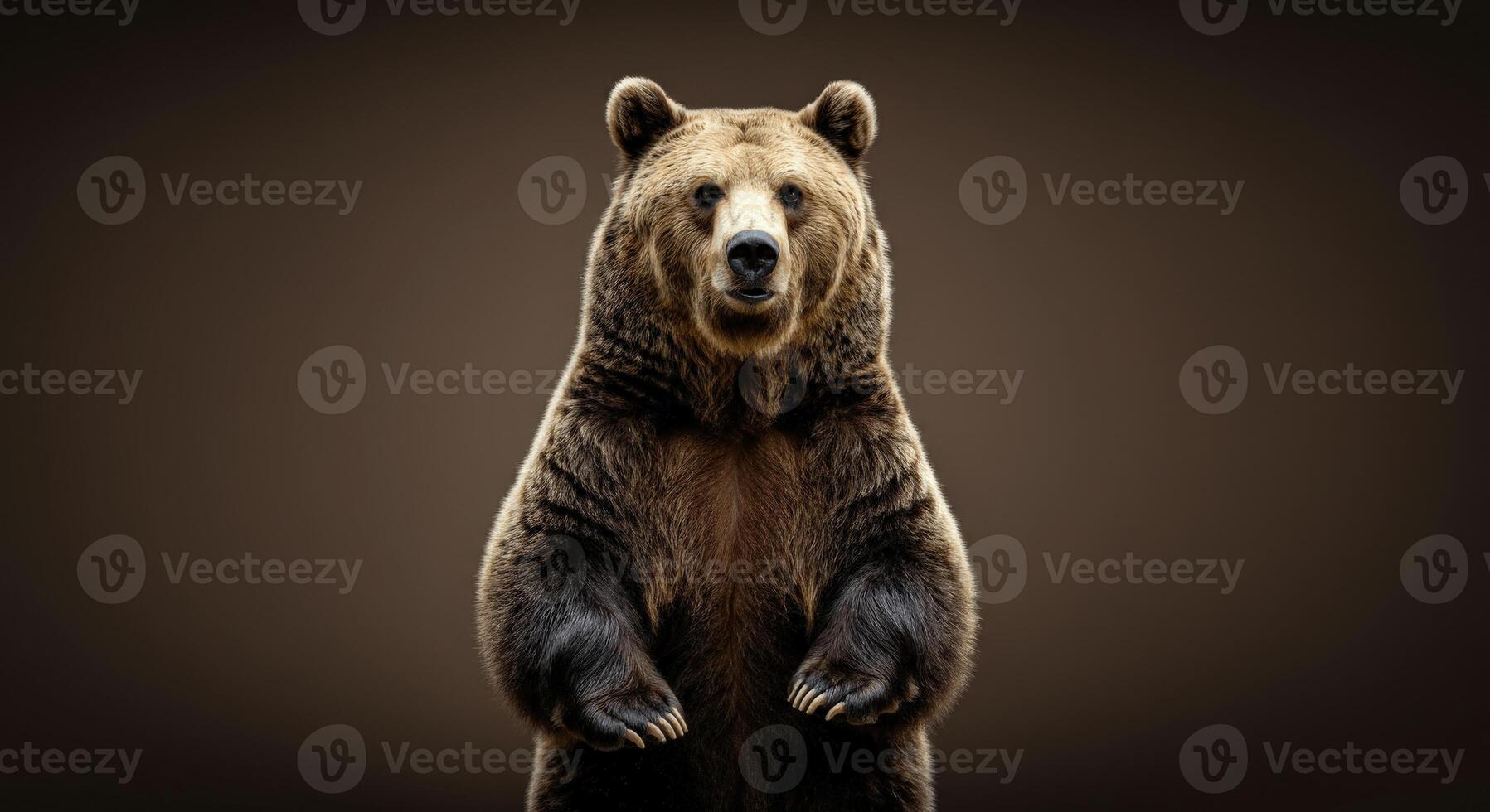 Majestic grizzly bear standing against a neutral brown background photo