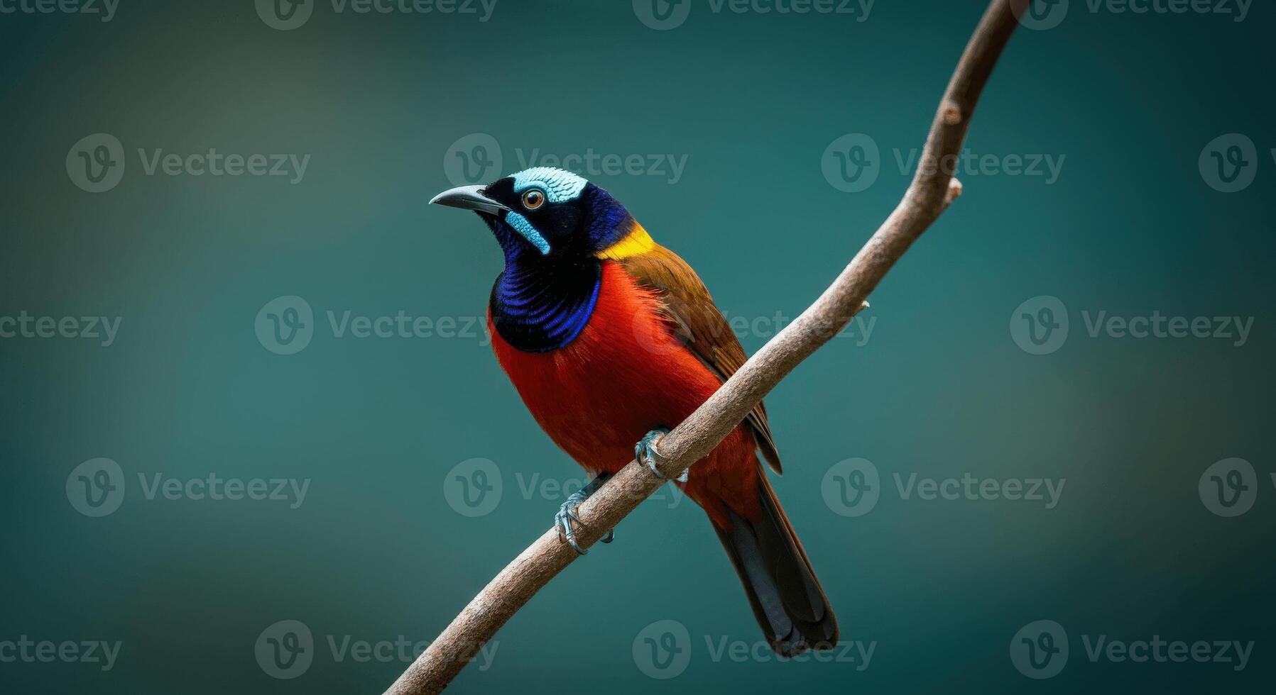 Vibrant tropical bird perched on branch in lush forest photo
