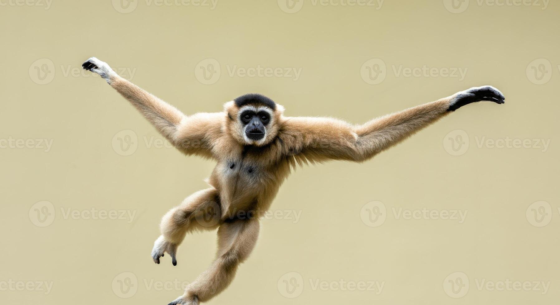 Agile gibbon in dynamic pose against minimalist background for wildlife-themed art photo