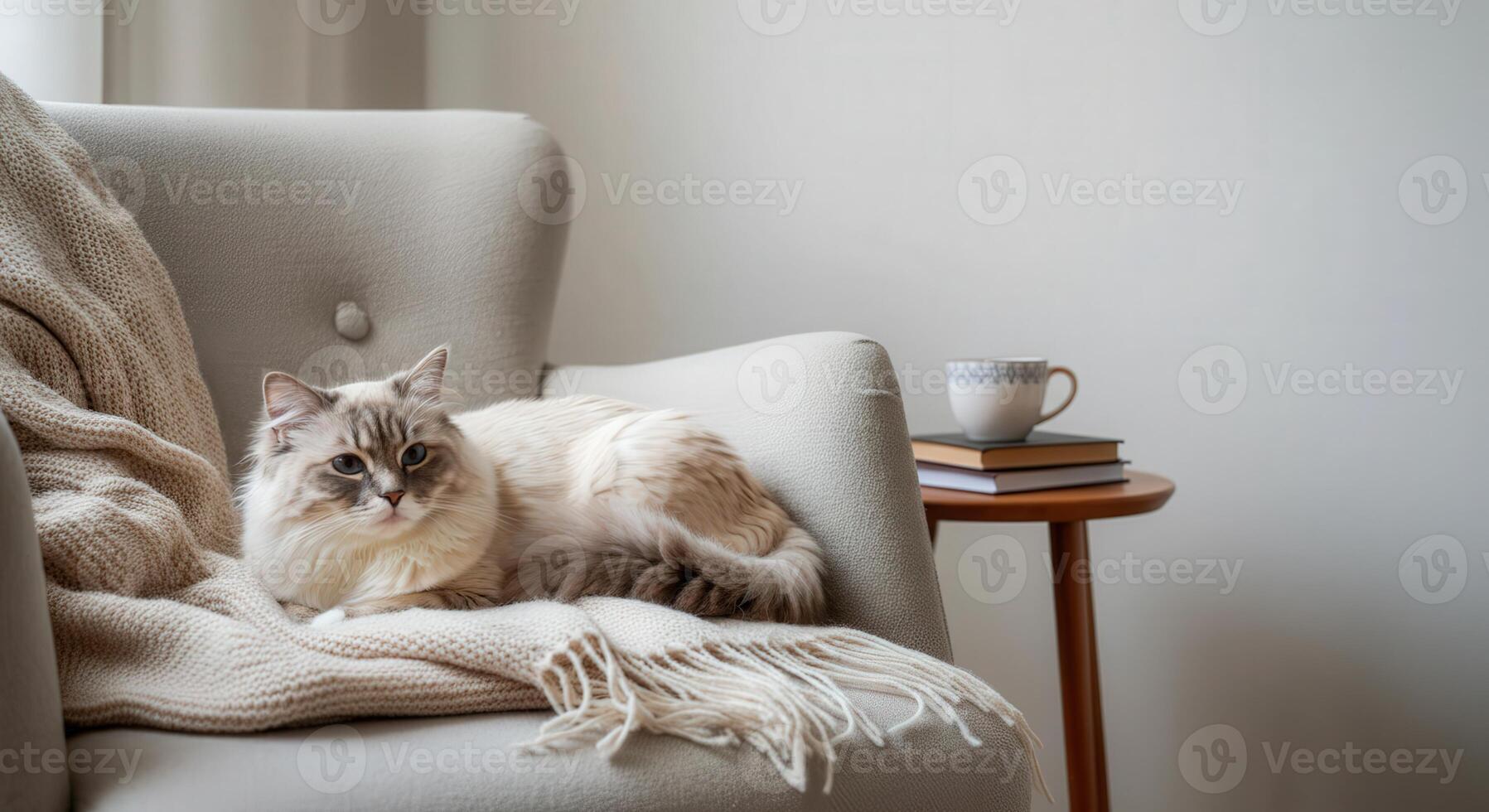 Fluffy cat relaxing on cozy armchair with warm blanket and coffee table photo