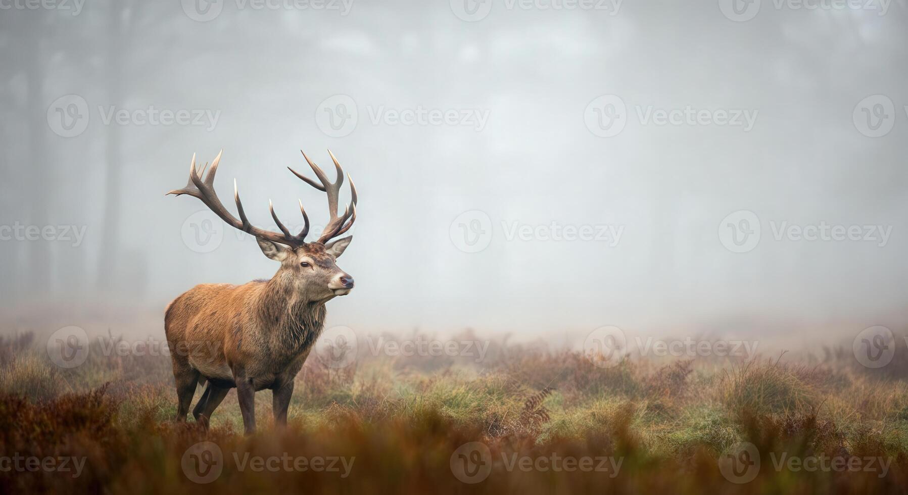 Majestic stag in misty forest landscape capturing tranquility and wilderness photo