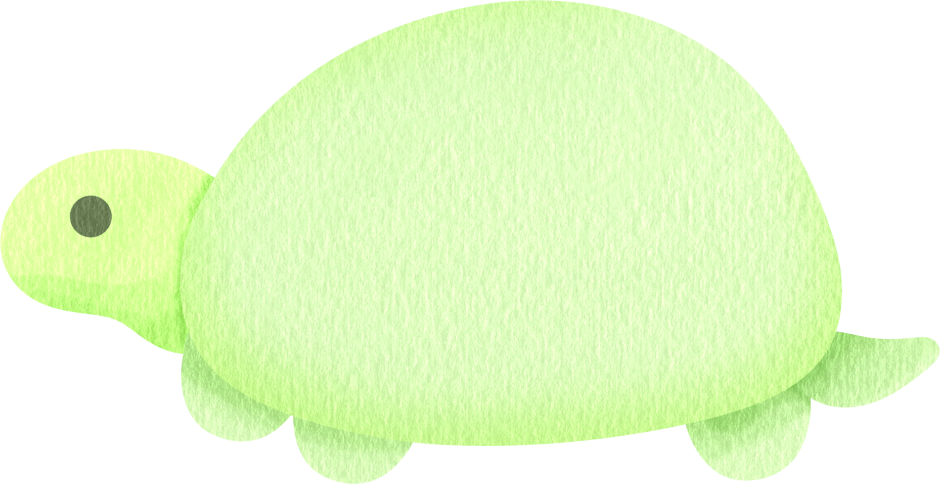 turtle animal icon png