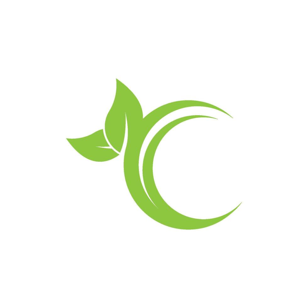 A green leaf logo with a c in the middle vector