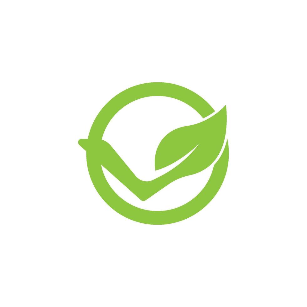 A green leaf logo on a white background vector