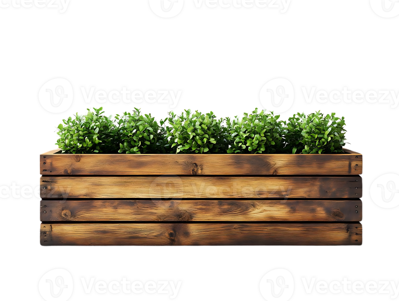 Wooden Planter Box Holds Lush Green Plants, Background Transparent png