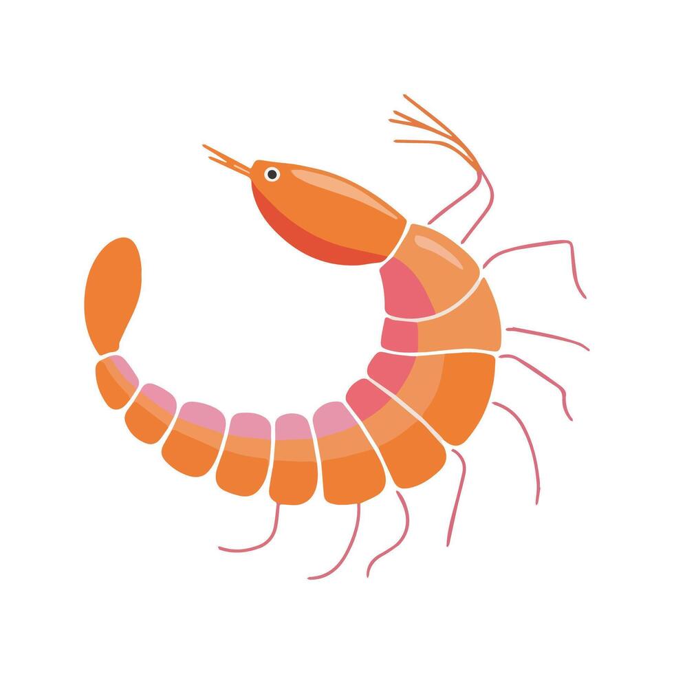 Flat illustration of a prawn with smooth, curving orange-pink body, minimal lines for legs and antennae, modern simple design, white background vector