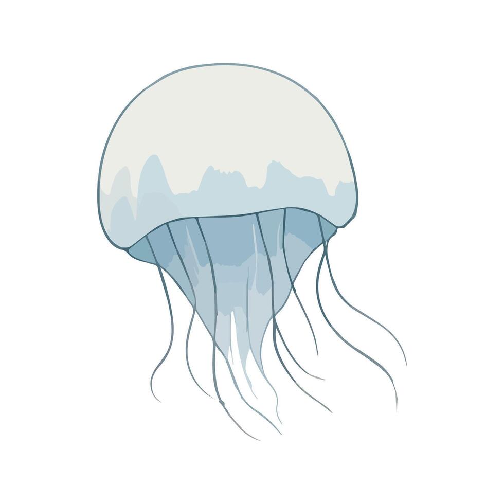 Flat illustration of a moon jellyfish with soft white and blue tones, minimalistic design, smooth, clean background, stylized vector