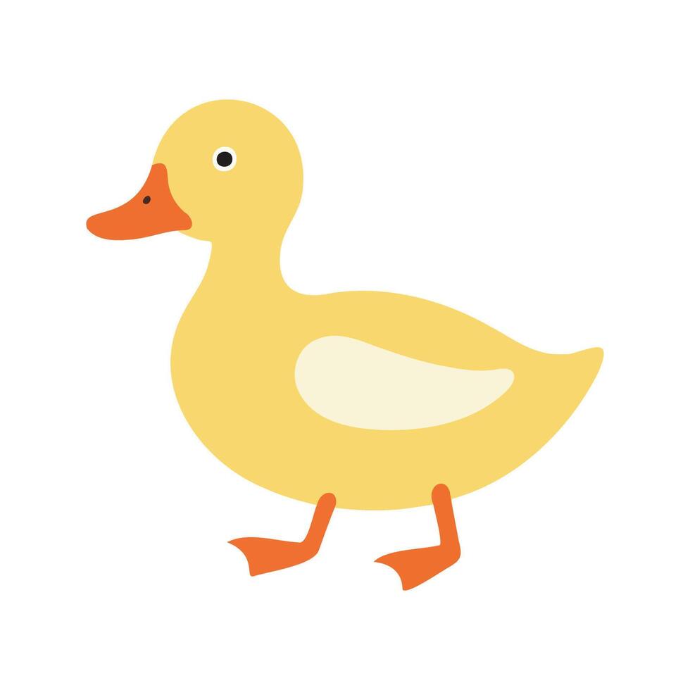 Flat illustration of a stylized duck with yellow body, orange beak, and small feet, minimalistic design, cartoonish style, plain white background vector