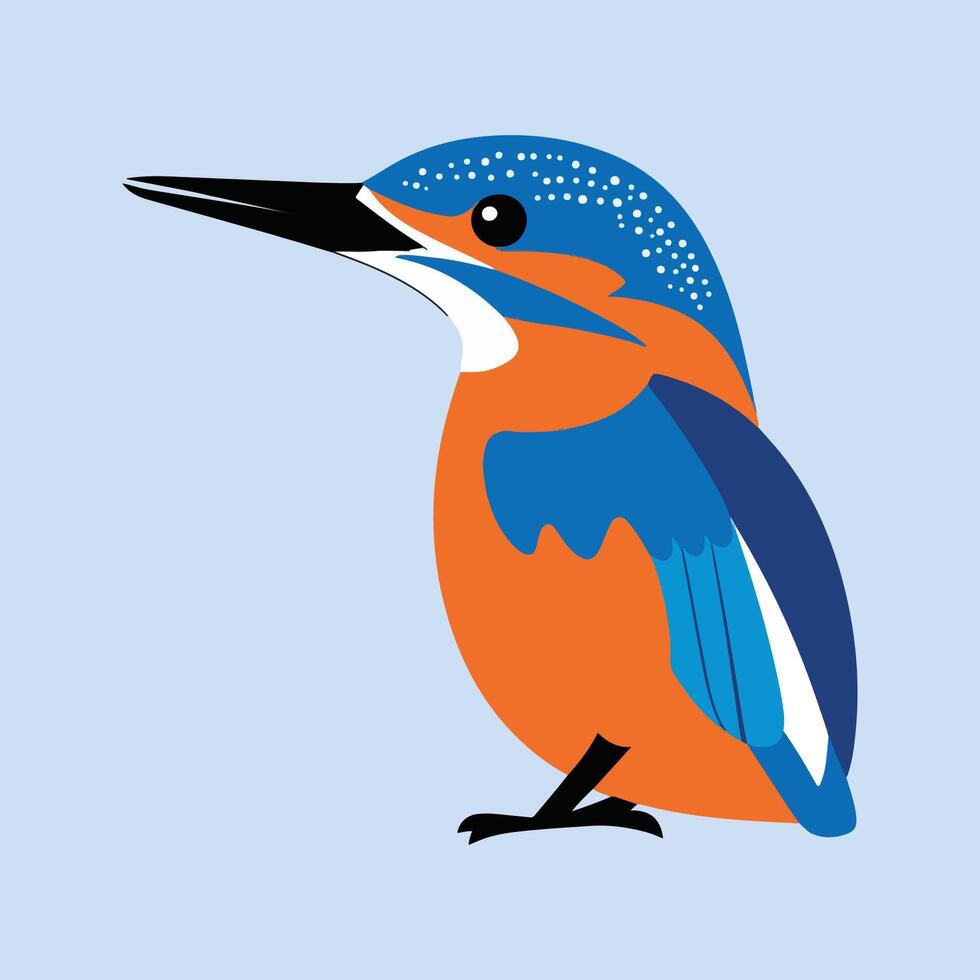 Flat Illustration of Colorful Kingfisher with Blue and Orange Feathers vector