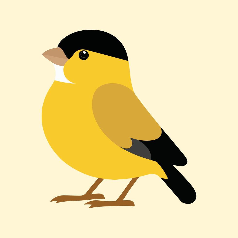 Flat Illustration of Vibrant American Goldfinch with Black Wings and Yellow Body vector