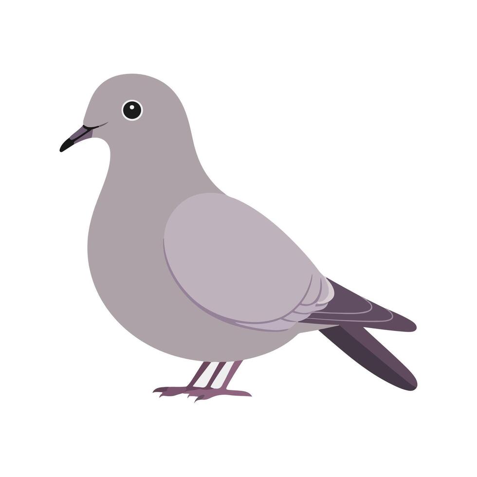 Flat illustration of a stylized mourning dove with gray body, lavender wings, and long tail, minimalistic design, plain white background vector